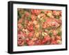 Bed of Anemones, 1901-Pierre-Auguste Renoir-Framed Giclee Print