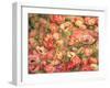 Bed of Anemones, 1901-Pierre-Auguste Renoir-Framed Giclee Print