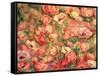 Bed of Anemones, 1901-Pierre-Auguste Renoir-Framed Stretched Canvas