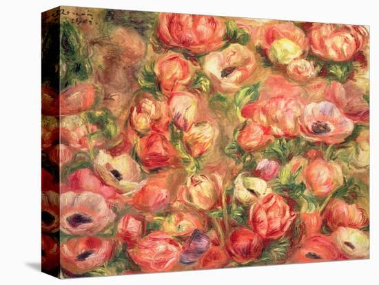 Bed of Anemones, 1901-Pierre-Auguste Renoir-Stretched Canvas