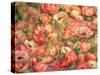 Bed of Anemones, 1901-Pierre-Auguste Renoir-Stretched Canvas