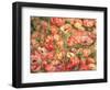 Bed of Anemones, 1901-Pierre-Auguste Renoir-Framed Giclee Print