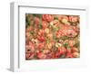 Bed of Anemones, 1901-Pierre-Auguste Renoir-Framed Giclee Print