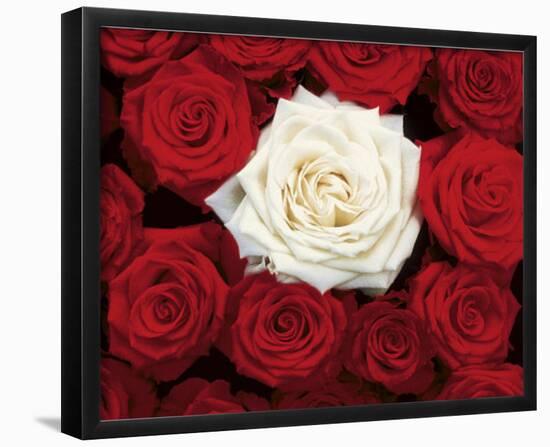 Bed of Roses (Red & White) Art Poster Print-null-Framed Mini Poster