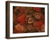 Bed of Roses-5fishcreative-Framed Giclee Print