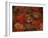 Bed of Roses-5fishcreative-Framed Giclee Print