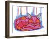 Bedded Down-Ric Stultz-Framed Giclee Print