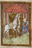 St. Cuthbert's Horse Pulls Down Bread and Meat-Bede-Laminated Giclee Print