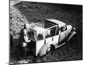 Bedford 6Cwt Utility Wagon, 1938-null-Mounted Photographic Print