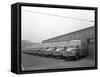 Bedford Delivery Lorries at the Danish Bacon Co, Kilnhurst, South Yorkshire, 1957-Michael Walters-Framed Stretched Canvas