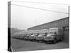 Bedford Delivery Lorries at the Danish Bacon Co, Kilnhurst, South Yorkshire, 1957-Michael Walters-Stretched Canvas