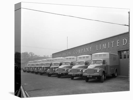 Bedford Delivery Lorries at the Danish Bacon Co, Kilnhurst, South Yorkshire, 1957-Michael Walters-Stretched Canvas