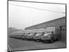 Bedford Delivery Lorries at the Danish Bacon Co, Kilnhurst, South Yorkshire, 1957-Michael Walters-Mounted Photographic Print