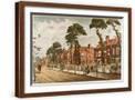 Brown Frame