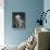 Bedlington Terrier Dogs-null-Photographic Print displayed on a wall