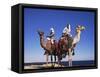 Bedouin and Camels, Sinai, Egypt, North Africa, Africa-Nico Tondini-Framed Stretched Canvas