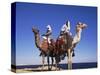 Bedouin and Camels, Sinai, Egypt, North Africa, Africa-Nico Tondini-Stretched Canvas