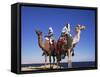 Bedouin and Camels, Sinai, Egypt, North Africa, Africa-Nico Tondini-Framed Stretched Canvas