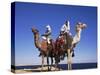 Bedouin and Camels, Sinai, Egypt, North Africa, Africa-Nico Tondini-Stretched Canvas