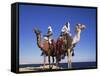 Bedouin and Camels, Sinai, Egypt, North Africa, Africa-Nico Tondini-Framed Stretched Canvas