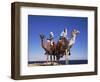 Bedouin and Camels, Sinai, Egypt, North Africa, Africa-Nico Tondini-Framed Photographic Print