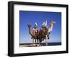 Bedouin and Camels, Sinai, Egypt, North Africa, Africa-Nico Tondini-Framed Photographic Print