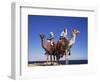 Bedouin and Camels, Sinai, Egypt, North Africa, Africa-Nico Tondini-Framed Photographic Print