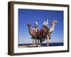 Bedouin and Camels, Sinai, Egypt, North Africa, Africa-Nico Tondini-Framed Photographic Print