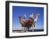 Bedouin and Camels, Sinai, Egypt, North Africa, Africa-Nico Tondini-Framed Photographic Print