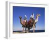 Bedouin and Camels, Sinai, Egypt, North Africa, Africa-Nico Tondini-Framed Photographic Print