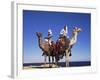 Bedouin and Camels, Sinai, Egypt, North Africa, Africa-Nico Tondini-Framed Photographic Print