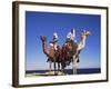 Bedouin and Camels, Sinai, Egypt, North Africa, Africa-Nico Tondini-Framed Photographic Print