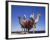 Bedouin and Camels, Sinai, Egypt, North Africa, Africa-Nico Tondini-Framed Photographic Print