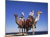 Bedouin and Camels, Sinai, Egypt, North Africa, Africa-Nico Tondini-Mounted Photographic Print