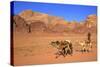 Bedouin and Camels, Wadi Rum, Jordan, Middle East-Neil Farrin-Stretched Canvas