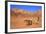 Bedouin and Camels, Wadi Rum, Jordan, Middle East-Neil Farrin-Framed Photographic Print