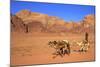 Bedouin and Camels, Wadi Rum, Jordan, Middle East-Neil Farrin-Mounted Photographic Print