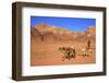 Bedouin and Camels, Wadi Rum, Jordan, Middle East-Neil Farrin-Framed Photographic Print