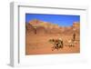 Bedouin and Camels, Wadi Rum, Jordan, Middle East-Neil Farrin-Framed Photographic Print