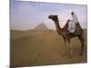 Bedouin Camel Rider in Front of Pyramid of Djoser, Egypt, North Africa-Staffan Widstrand-Mounted Photographic Print