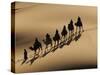Bedouin Caravan Riding Through the Sahara Desert, Near Merzouga, Morocco, North Africa, Africa-Michael Runkel-Stretched Canvas