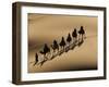 Bedouin Caravan Riding Through the Sahara Desert, Near Merzouga, Morocco, North Africa, Africa-Michael Runkel-Framed Photographic Print