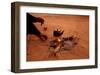 Bedouin Desert Breakfast, Jordon-Wadirum-Charles Glover-Framed Art Print