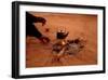 Bedouin Desert Breakfast, Jordon-Wadirum-Charles Glover-Framed Art Print