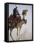 Bedouin Guide on Camel-Back Overlooking the Pyramids of Giza, Cairo, Egypt-Mcconnell Andrew-Framed Stretched Canvas