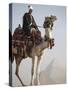 Bedouin Guide on Camel-Back Overlooking the Pyramids of Giza, Cairo, Egypt-Mcconnell Andrew-Stretched Canvas