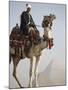 Bedouin Guide on Camel-Back Overlooking the Pyramids of Giza, Cairo, Egypt-Mcconnell Andrew-Mounted Photographic Print