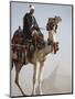 Bedouin Guide on Camel-Back Overlooking the Pyramids of Giza, Cairo, Egypt-Mcconnell Andrew-Mounted Premium Photographic Print