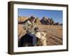 Bedouin on Camel in the Desert, Wadi Rum, Jordan, Middle East-Sergio Pitamitz-Framed Photographic Print