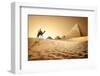 Bedouin on Camel near Pyramids in Desert-Givaga-Framed Photographic Print